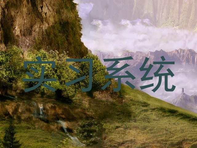 实习系统
