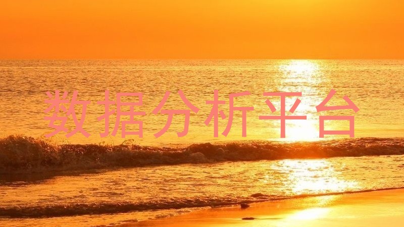 数据分析平台