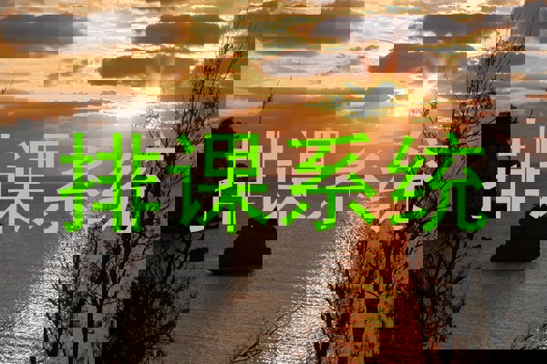 排课系统