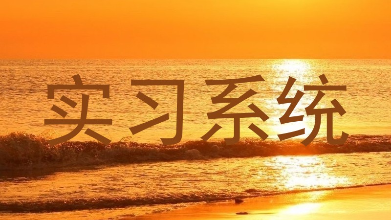 实习系统
