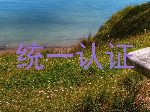统一认证