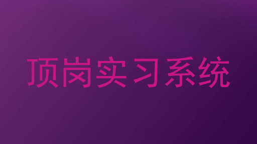 顶岗实习系统