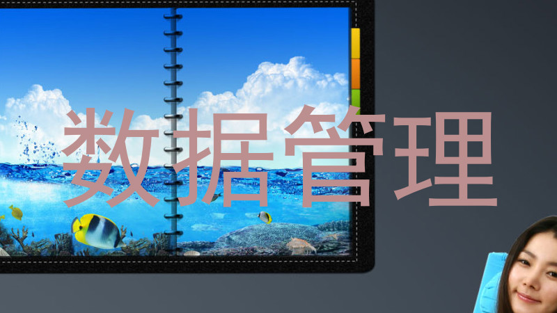 数据管理