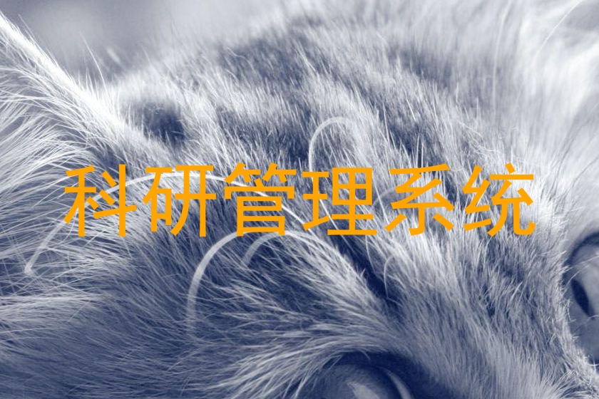 科研管理系统