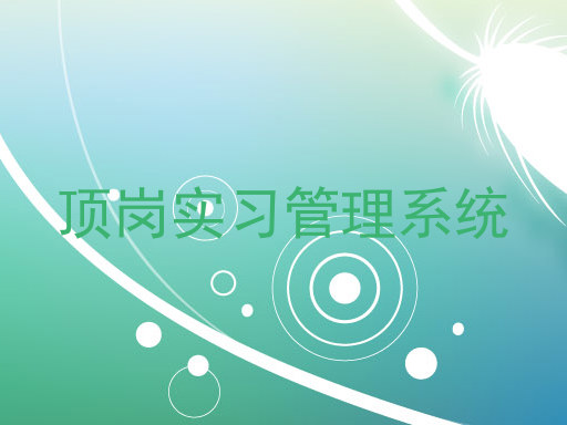 顶岗实习管理系统