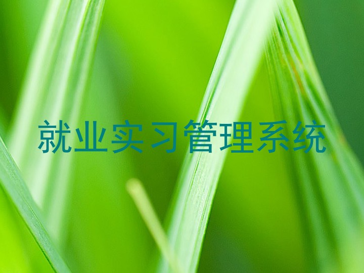 就业实习管理系统