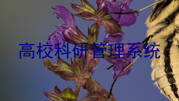 高校科研管理系统