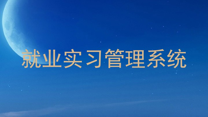 就业实习管理系统
