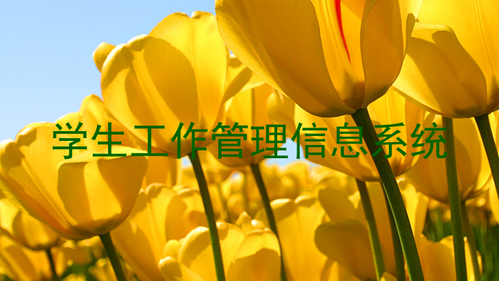 学生工作管理信息系统