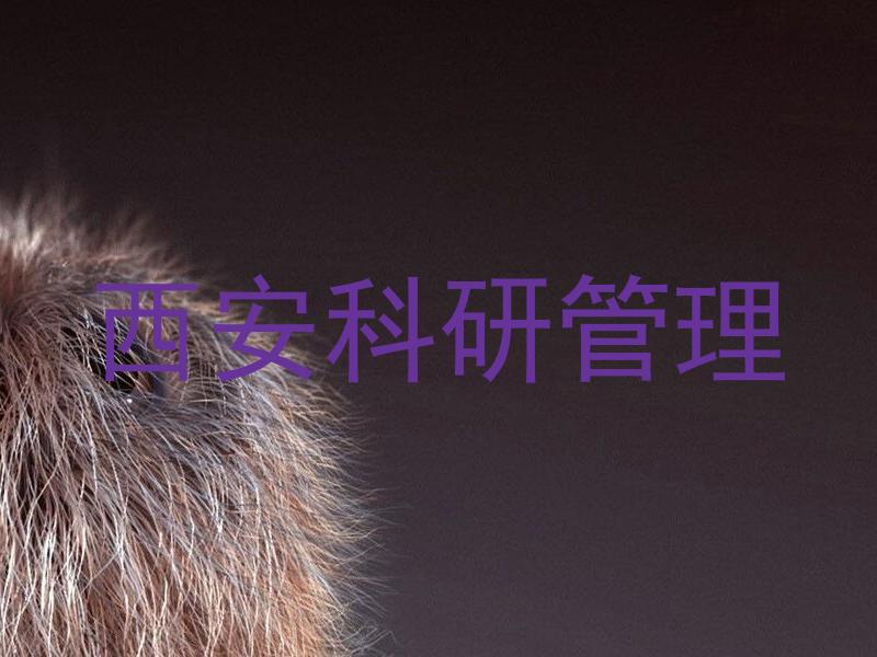 西安科研管理