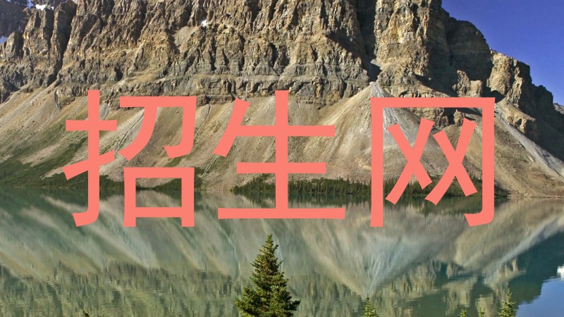 招生网