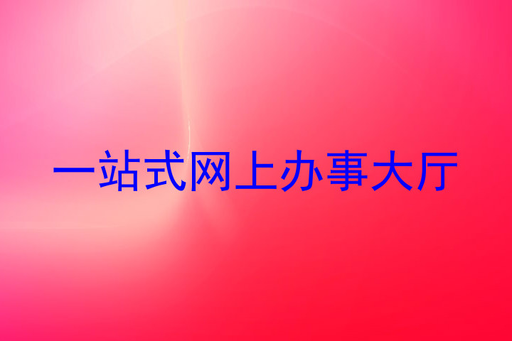 一站式网上办事大厅