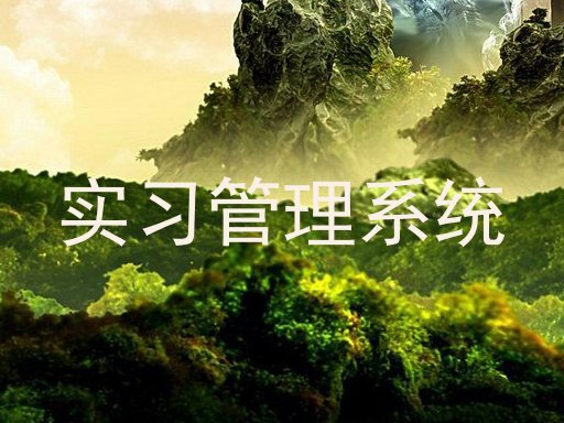实习管理系统