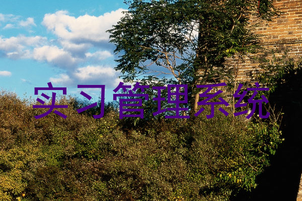 实习管理系统