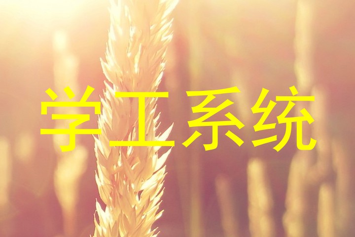 学工系统