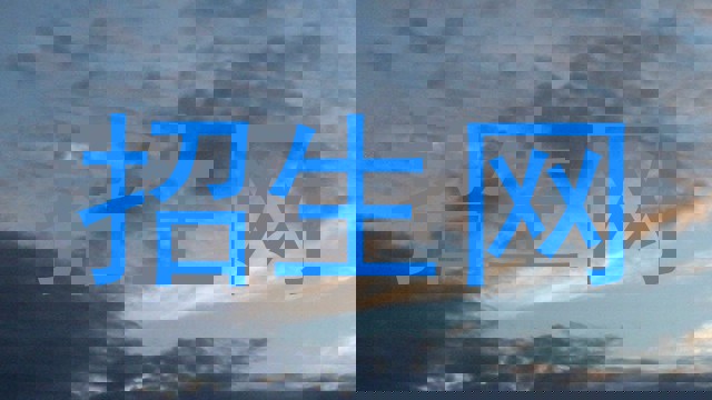 招生网