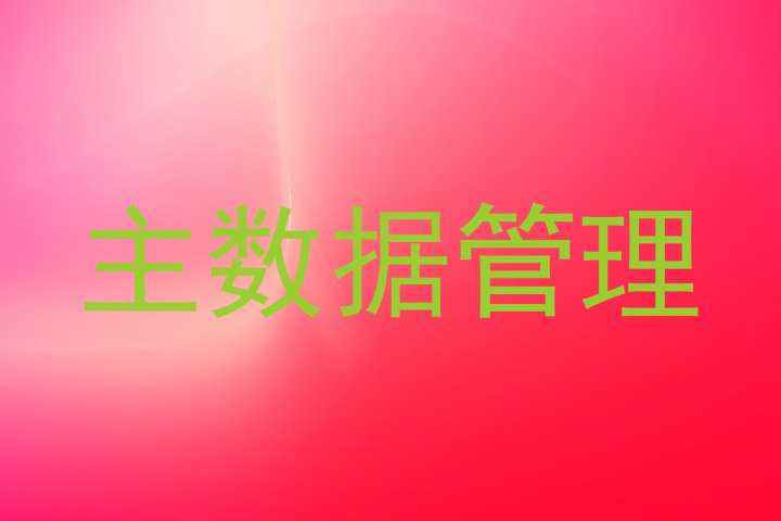 主数据管理
