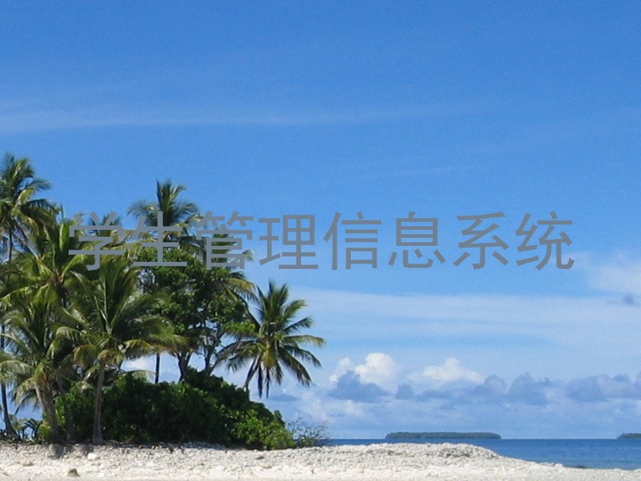 学生管理信息系统