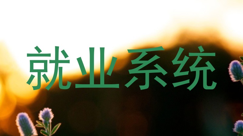 就业系统