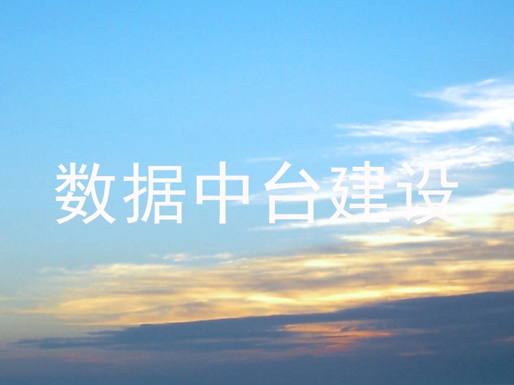 数据中台建设
