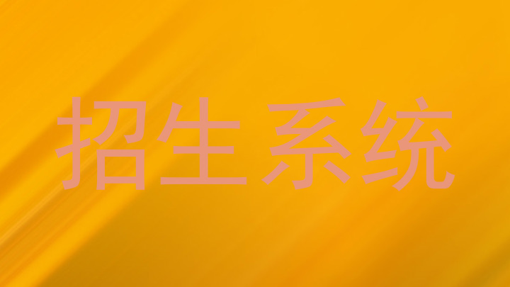 招生系统
