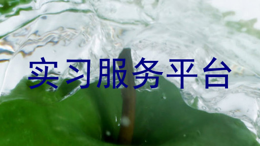 实习服务平台