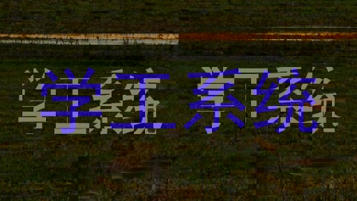 学工系统