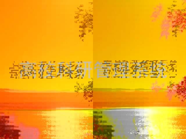 高校科研管理系统