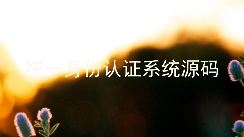 统一身份认证系统源码