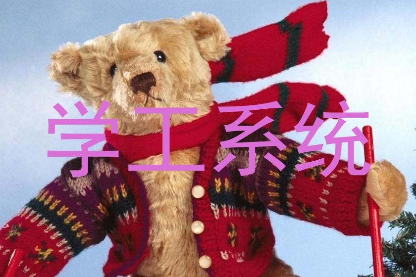 学工系统