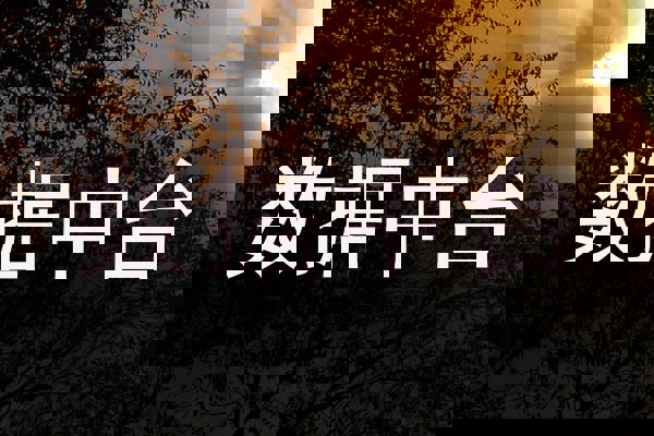 数据中台