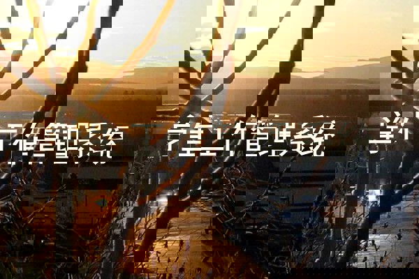 学生工作管理系统