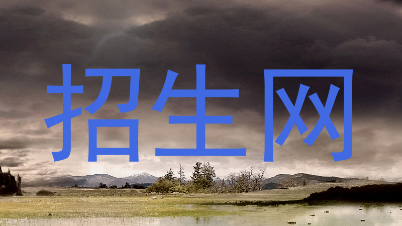 招生网