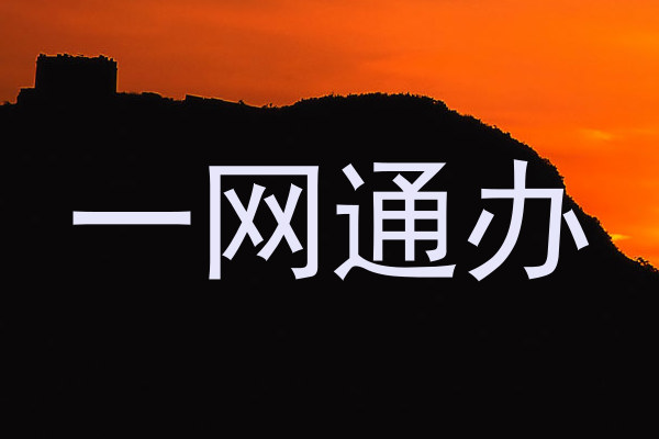 一网通办