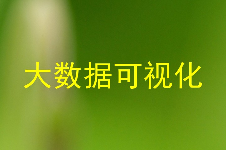 大数据可视化