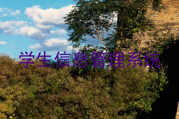 学生信息管理系统