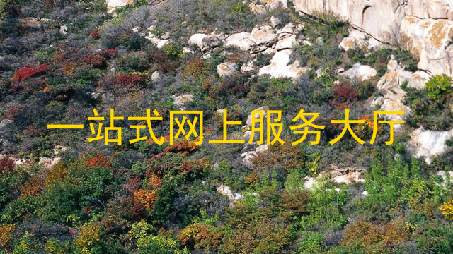 一站式网上服务大厅