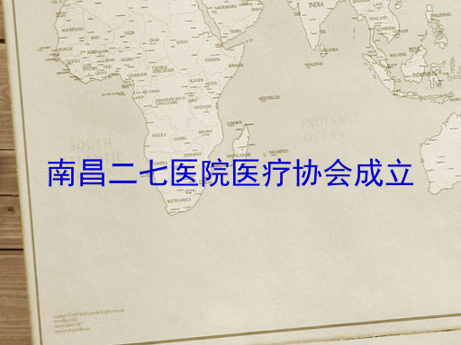 南昌二七医院医疗协会成立