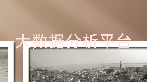 大数据分析平台