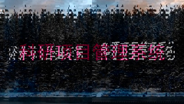 科研项目管理系统