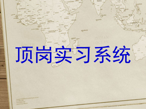 顶岗实习系统