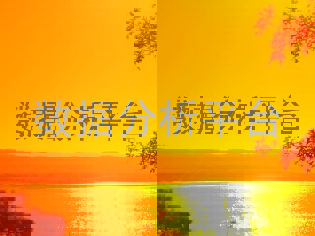数据分析平台