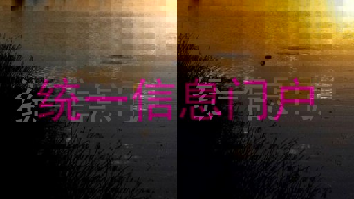 統(tǒng)一信息門(mén)戶