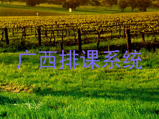广西排课系统