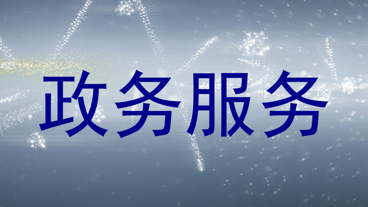政务服务