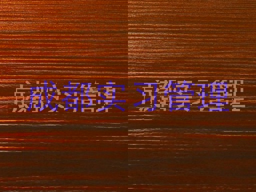 成都实习管理