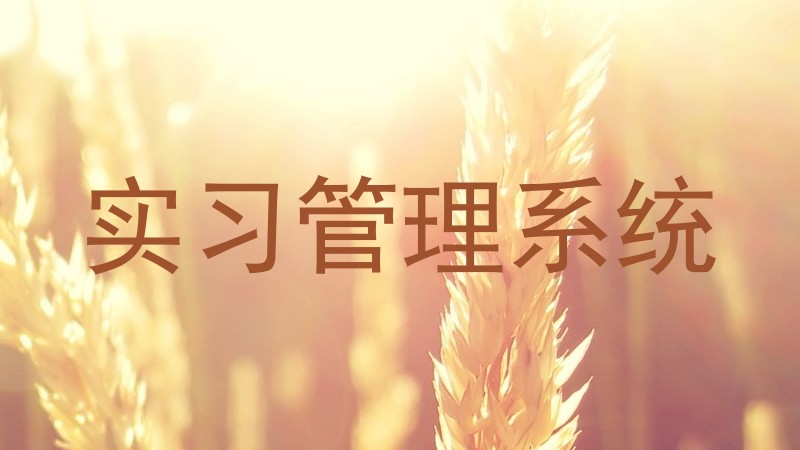 实习管理系统