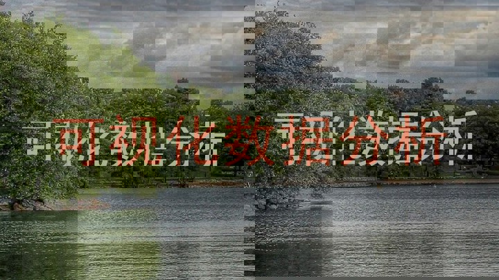 可视化数据分析