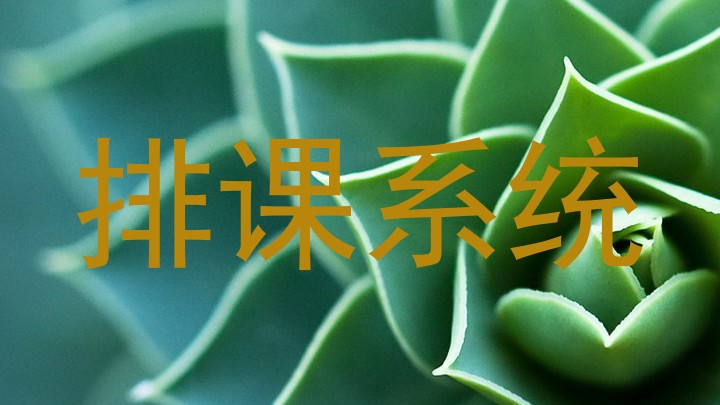 排课系统
