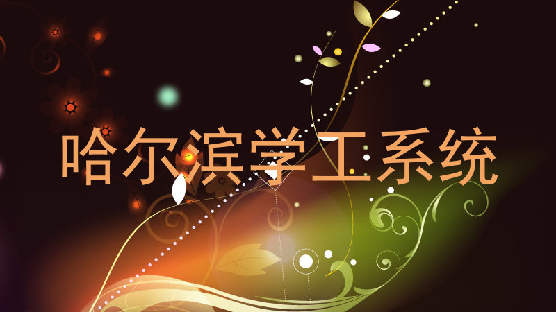 哈尔滨学工系统